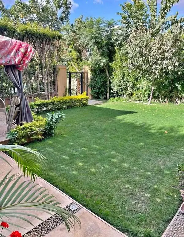 501293491_672285975700100_4483700136685615958_n