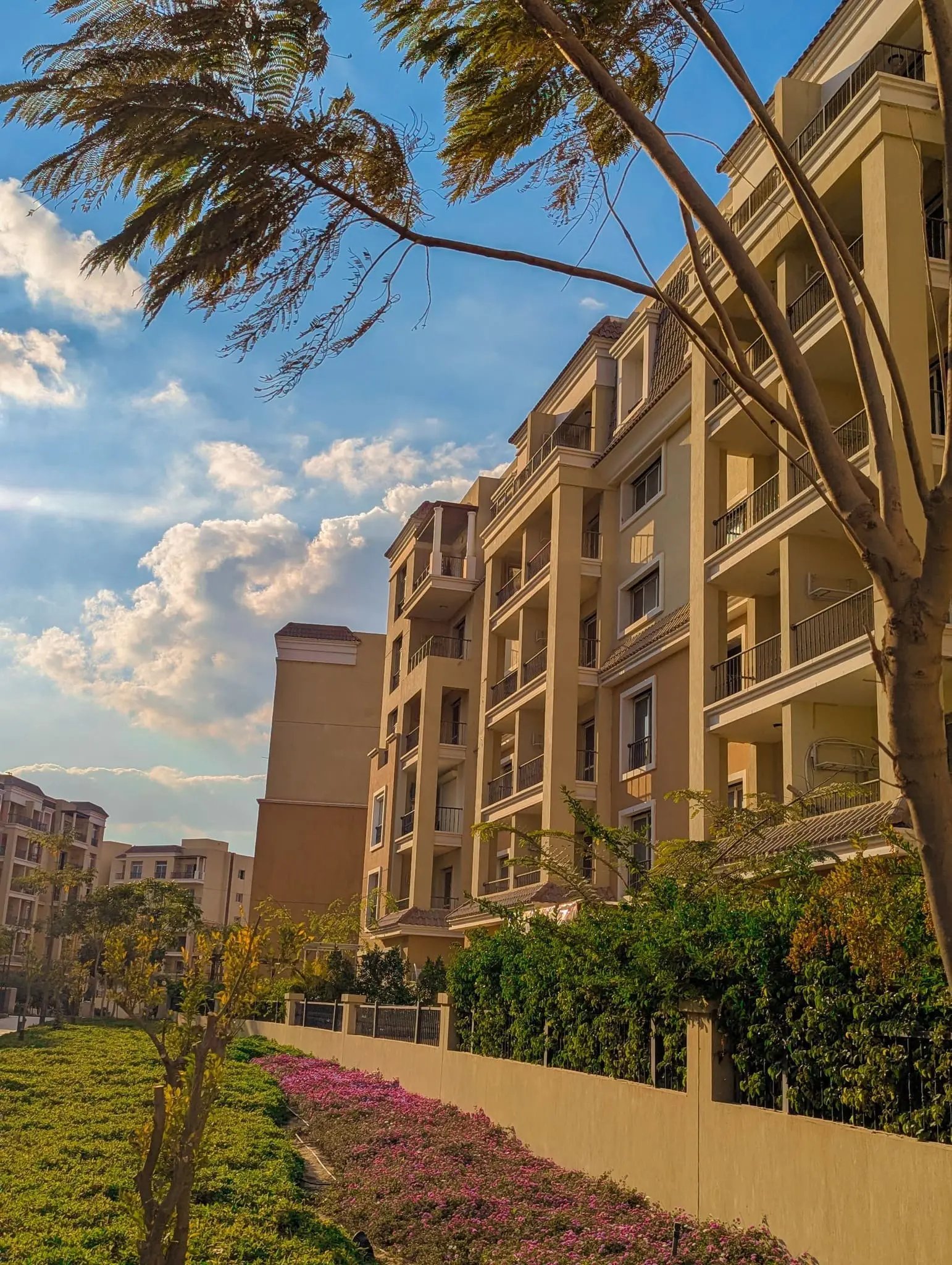 519241577_4321077091512858_6859484096402612134_n