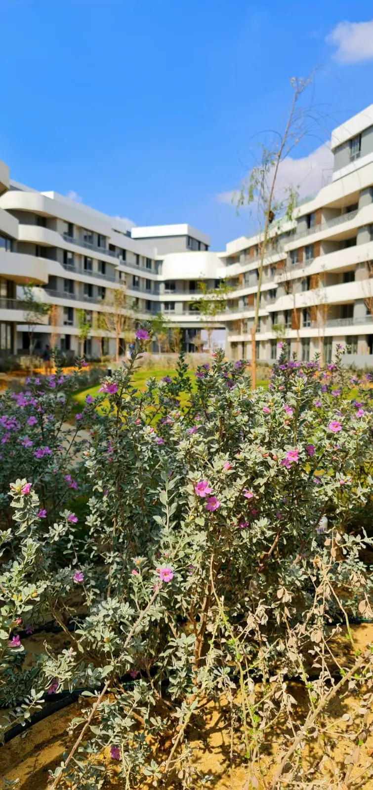 WhatsApp Image 2023-10-18 at 13.22.11