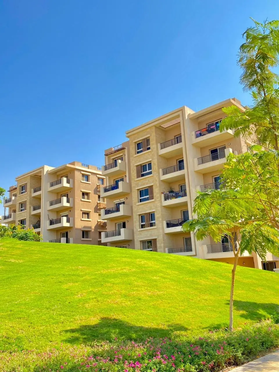 WhatsApp Image 2025-02-18 at 4.52.29 AM (1)