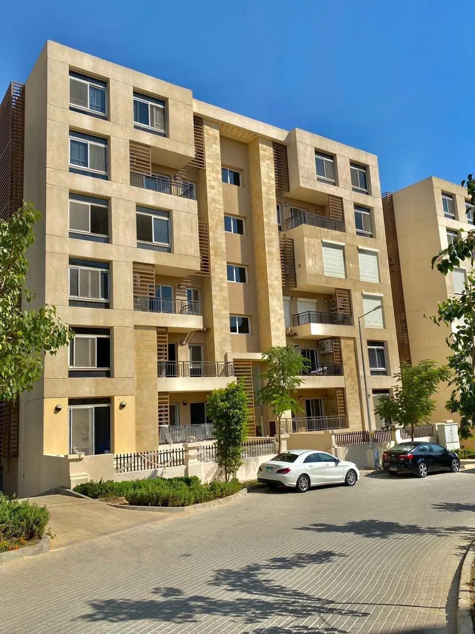 WhatsApp Image 2025-02-18 at 4.52.29 AM (2)