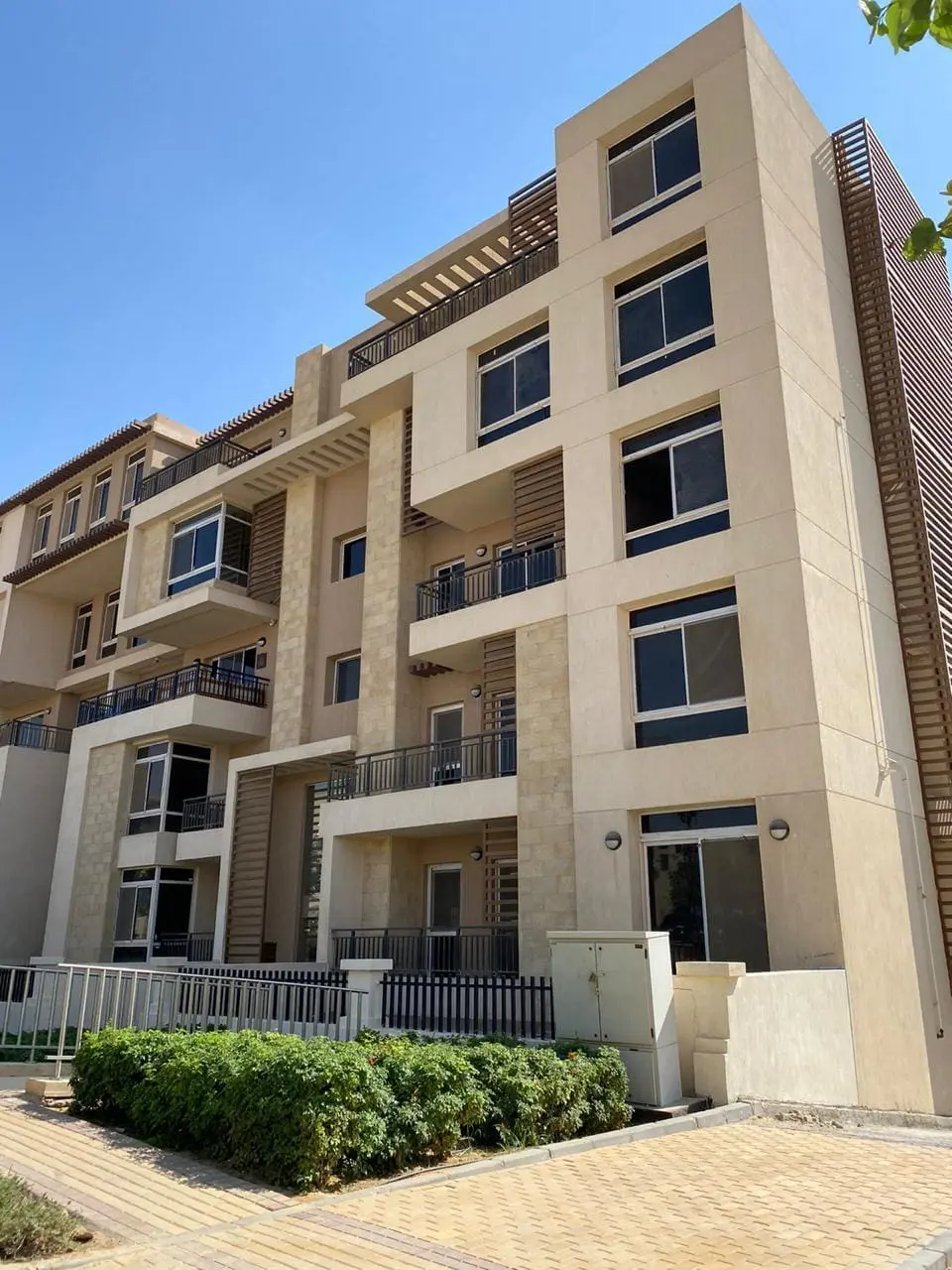 WhatsApp Image 2025-02-18 at 4.52.29 AM (3)