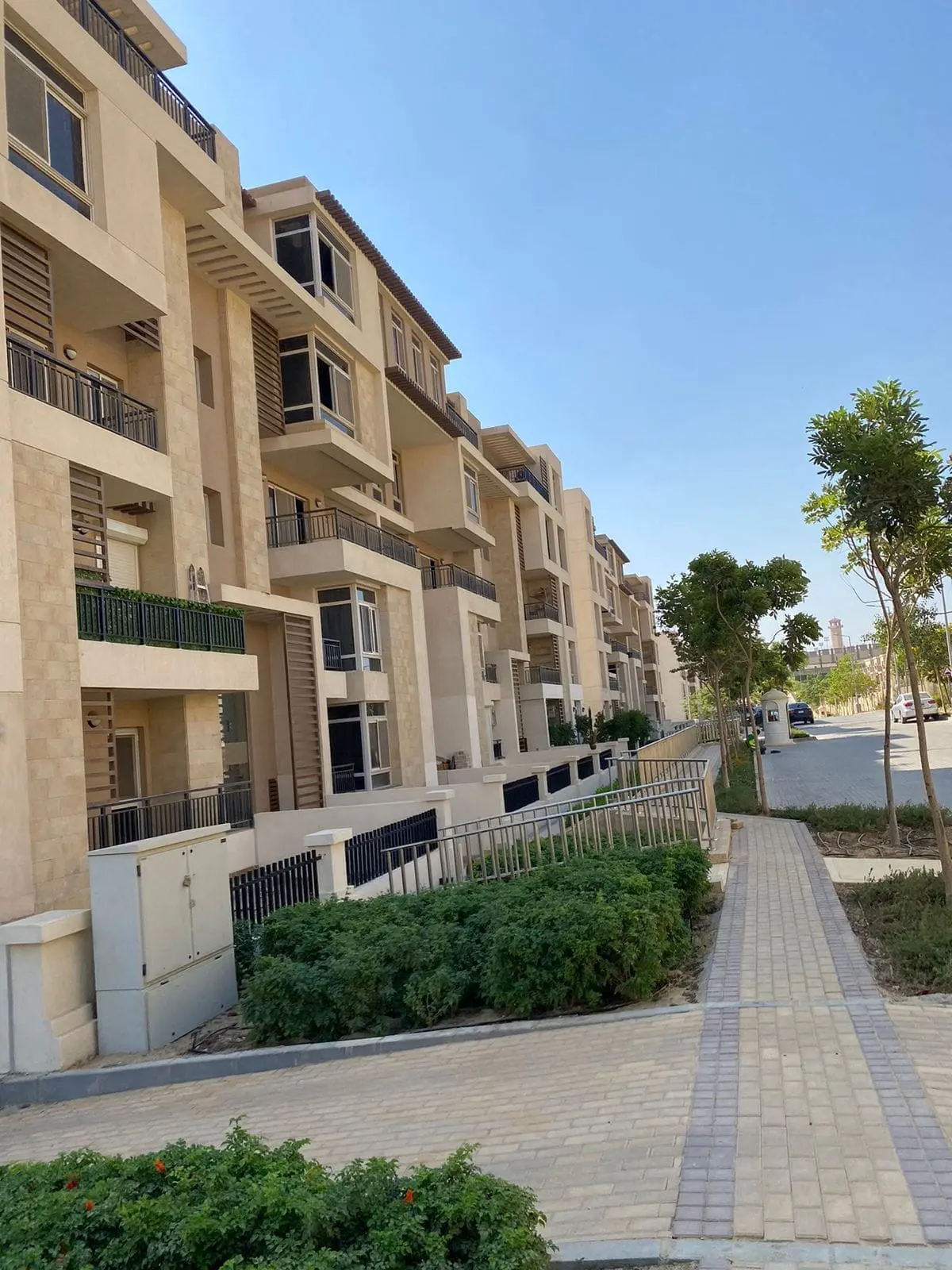 WhatsApp Image 2025-02-18 at 4.52.30 AM (1)