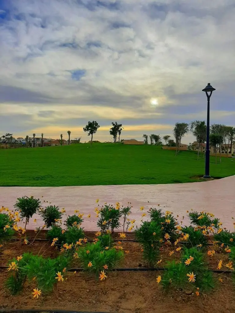 WhatsApp Image 2025-03-10 at 8.10.25 AM