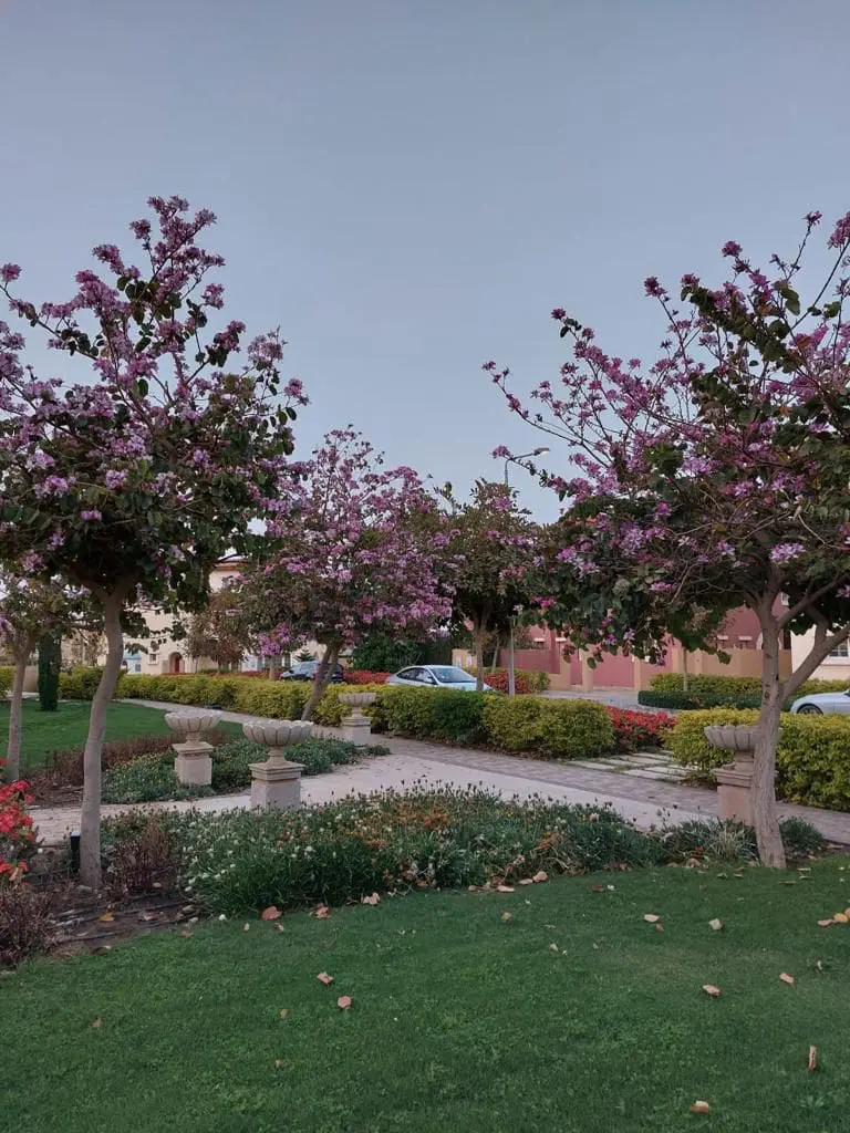 WhatsApp Image 2025-03-10 at 8.10.28 AM (1)