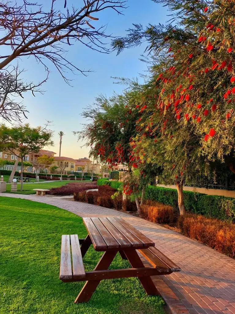 WhatsApp Image 2025-03-10 at 8.10.28 AM