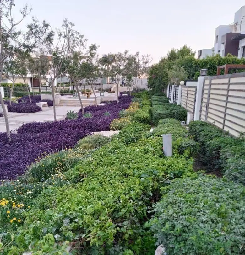 WhatsApp Image 2025-03-10 at 8.10.29 AM