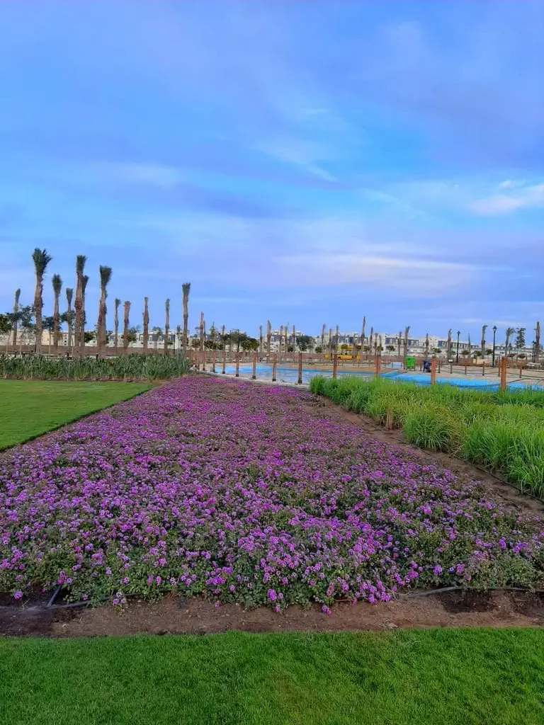 WhatsApp Image 2025-03-10 at 8.10.32 AM