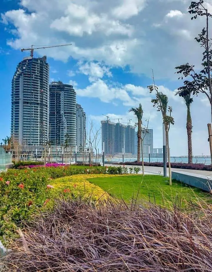 WhatsApp Image 2025-05-10 at 3.38.22 AM (1)