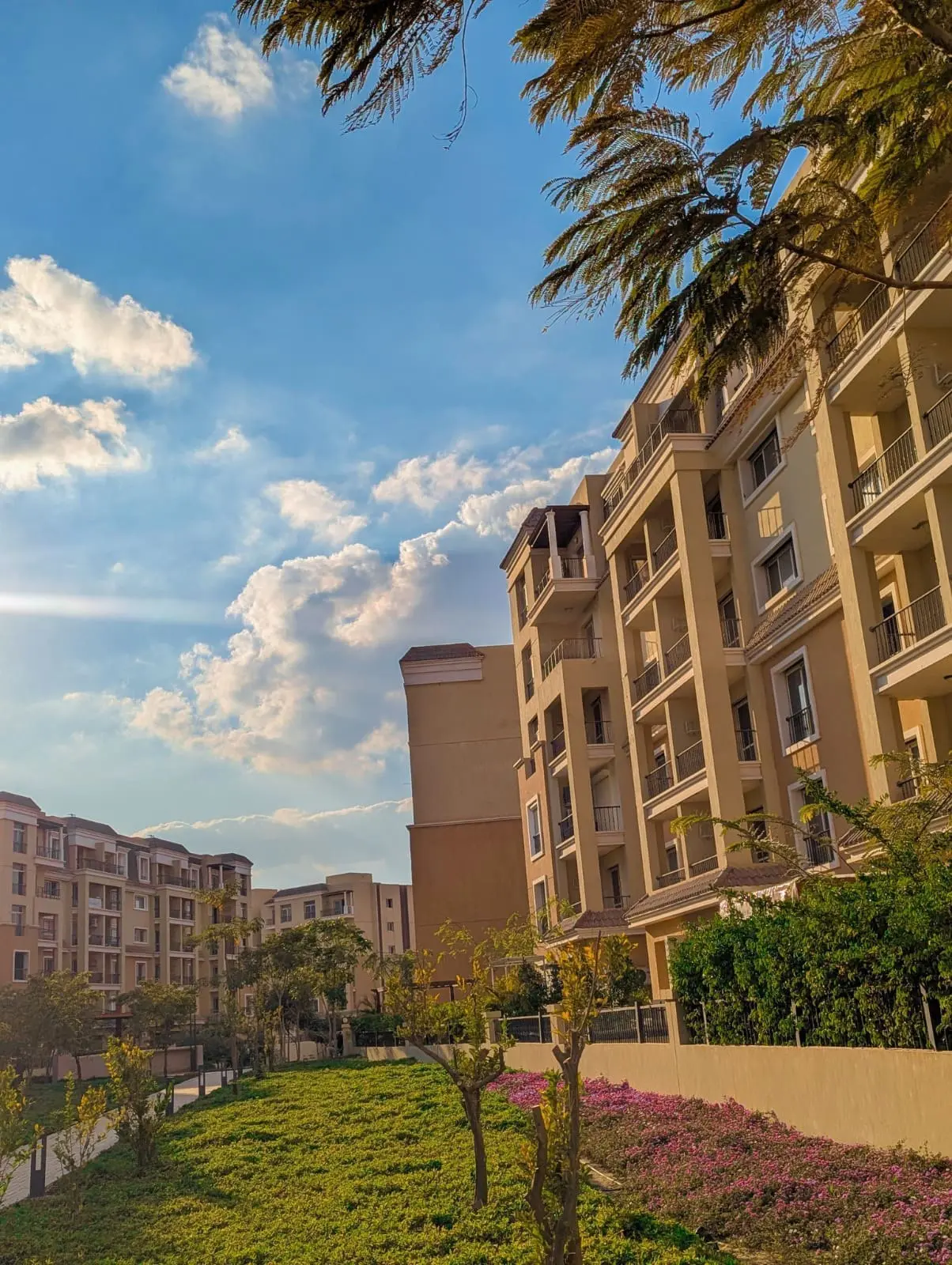 WhatsApp Image 2025-06-01 at 5.07.18 AM