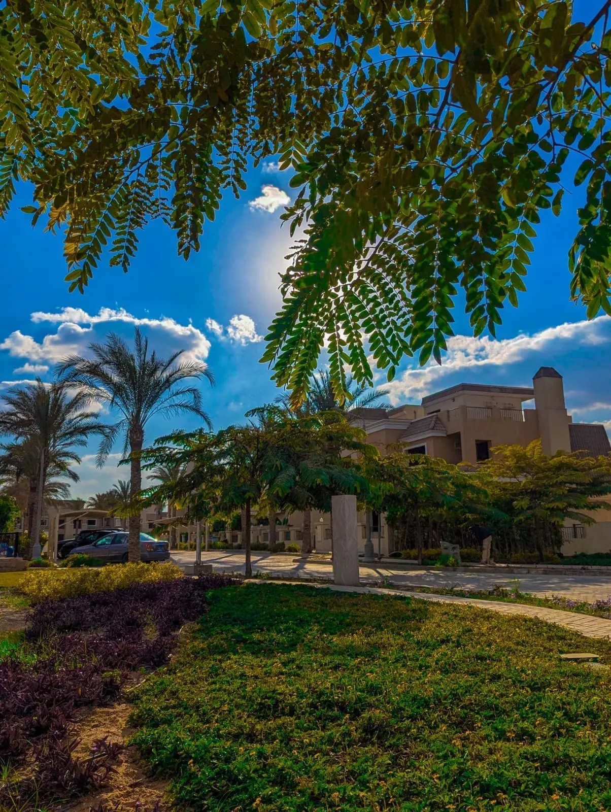 WhatsApp Image 2025-06-12 at 3.45.38 AM