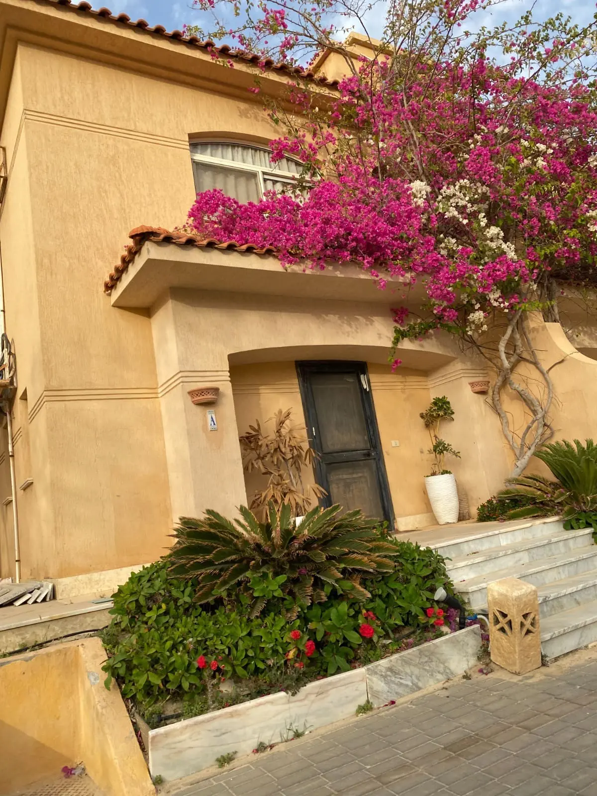 WhatsApp Image 2025-07-09 at 3.17.38 AM