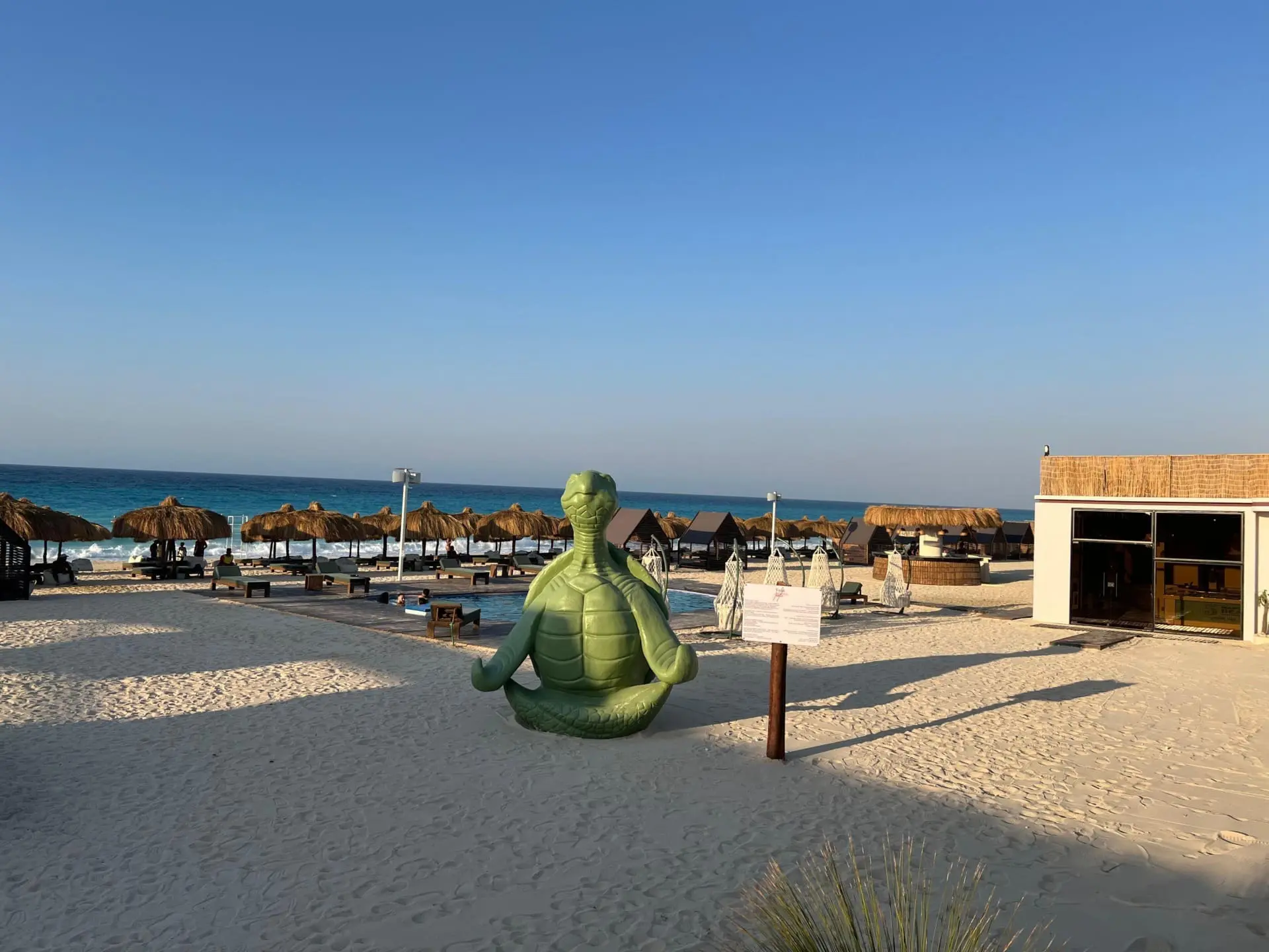 WhatsApp Image 2025-08-18 at 12.09.41 PM