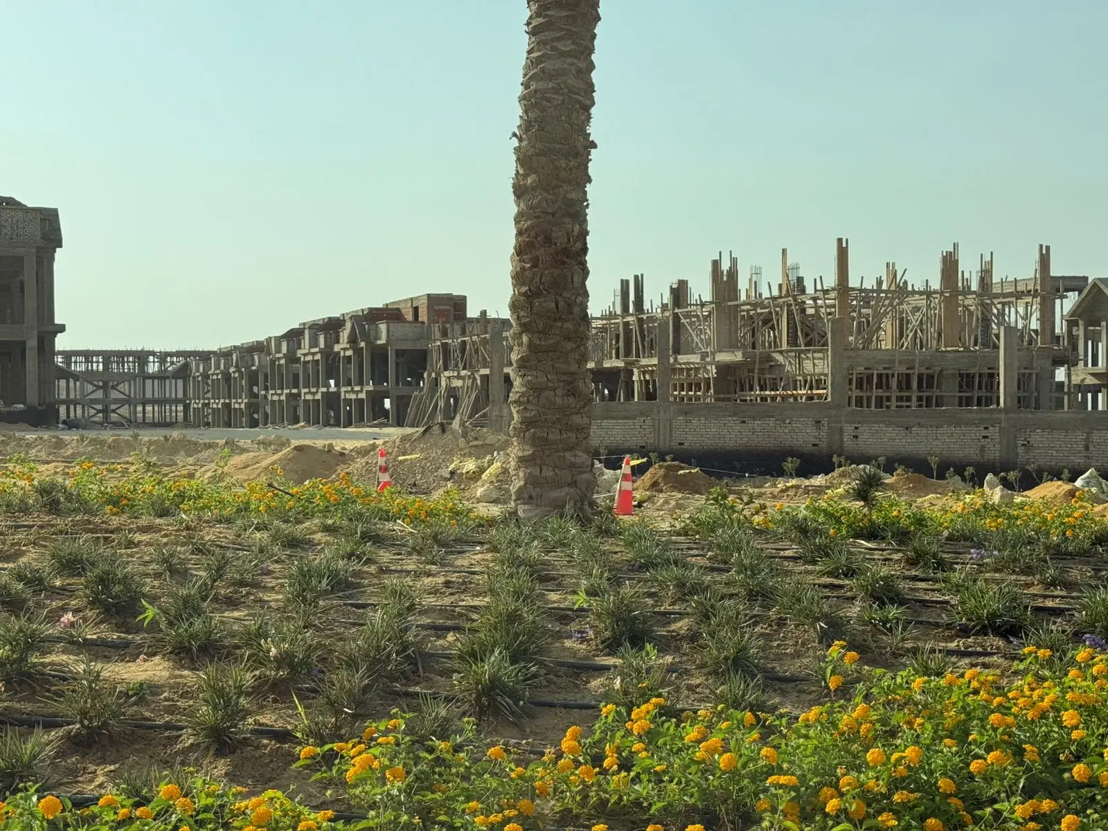 WhatsApp Image 2025-08-18 at 5.10.05 AM