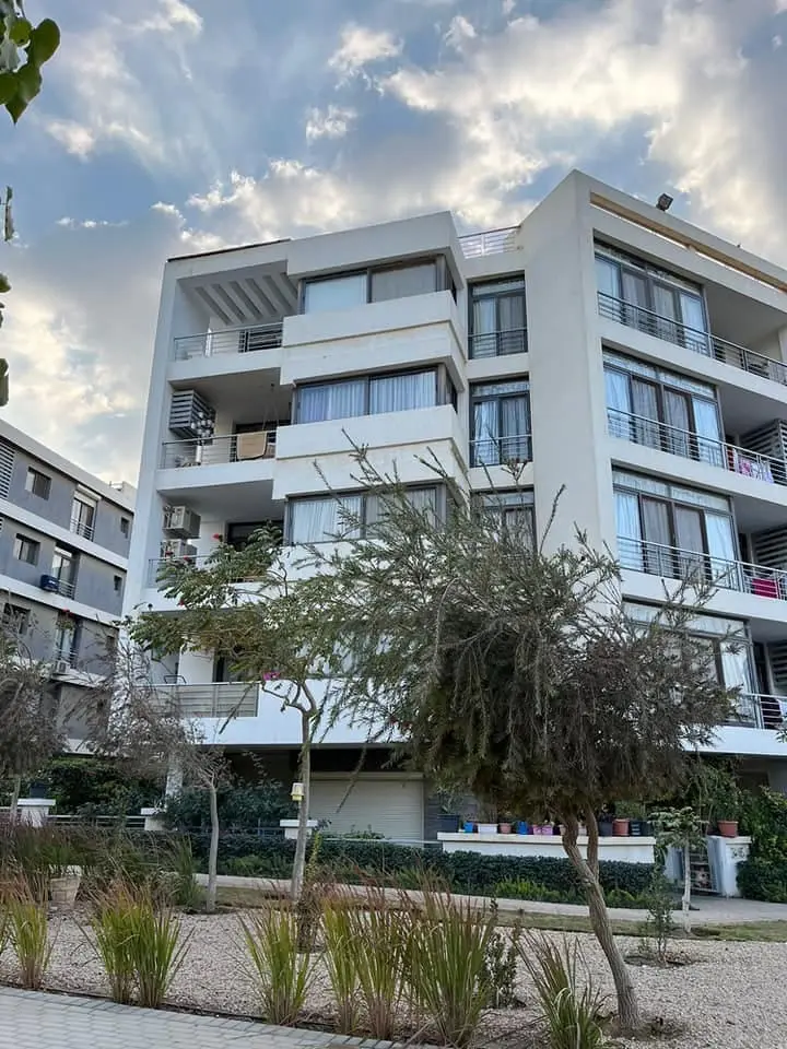 WhatsApp Image 2025-08-19 at 12.37.04 PM