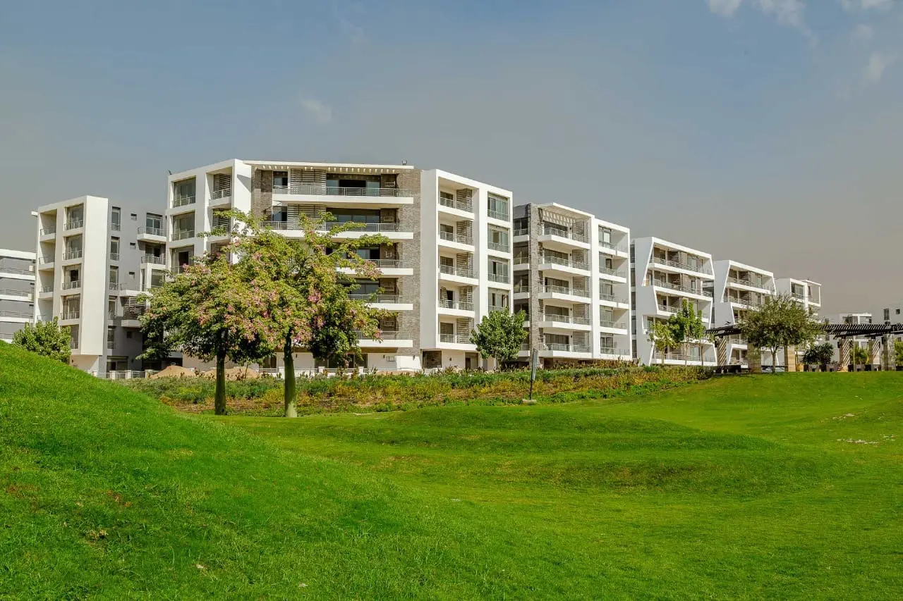 WhatsApp Image 2025-08-19 at 12.37.06 PM (1)