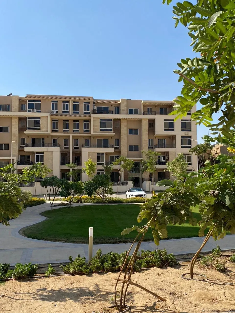 WhatsApp Image 2025-08-19 at 12.37.13 PM (1)