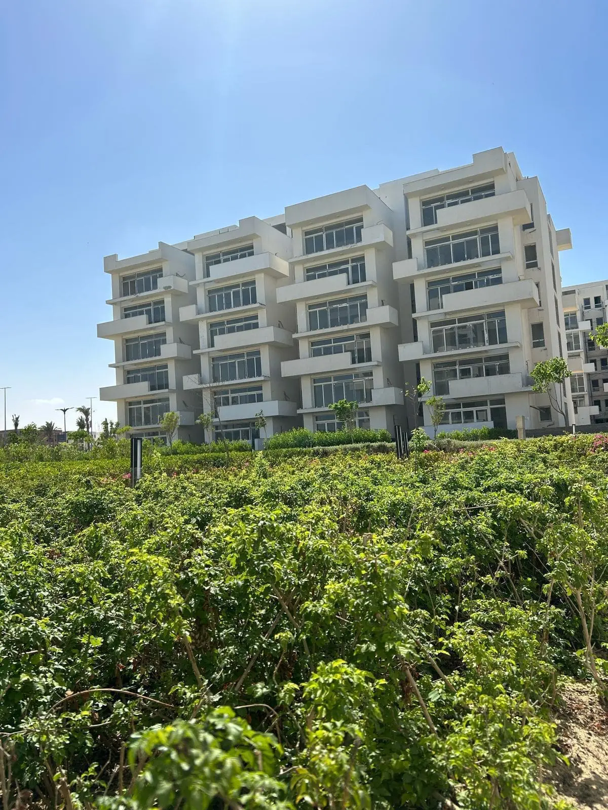 WhatsApp Image 2025-08-27 at 3.34.52 AM (1)