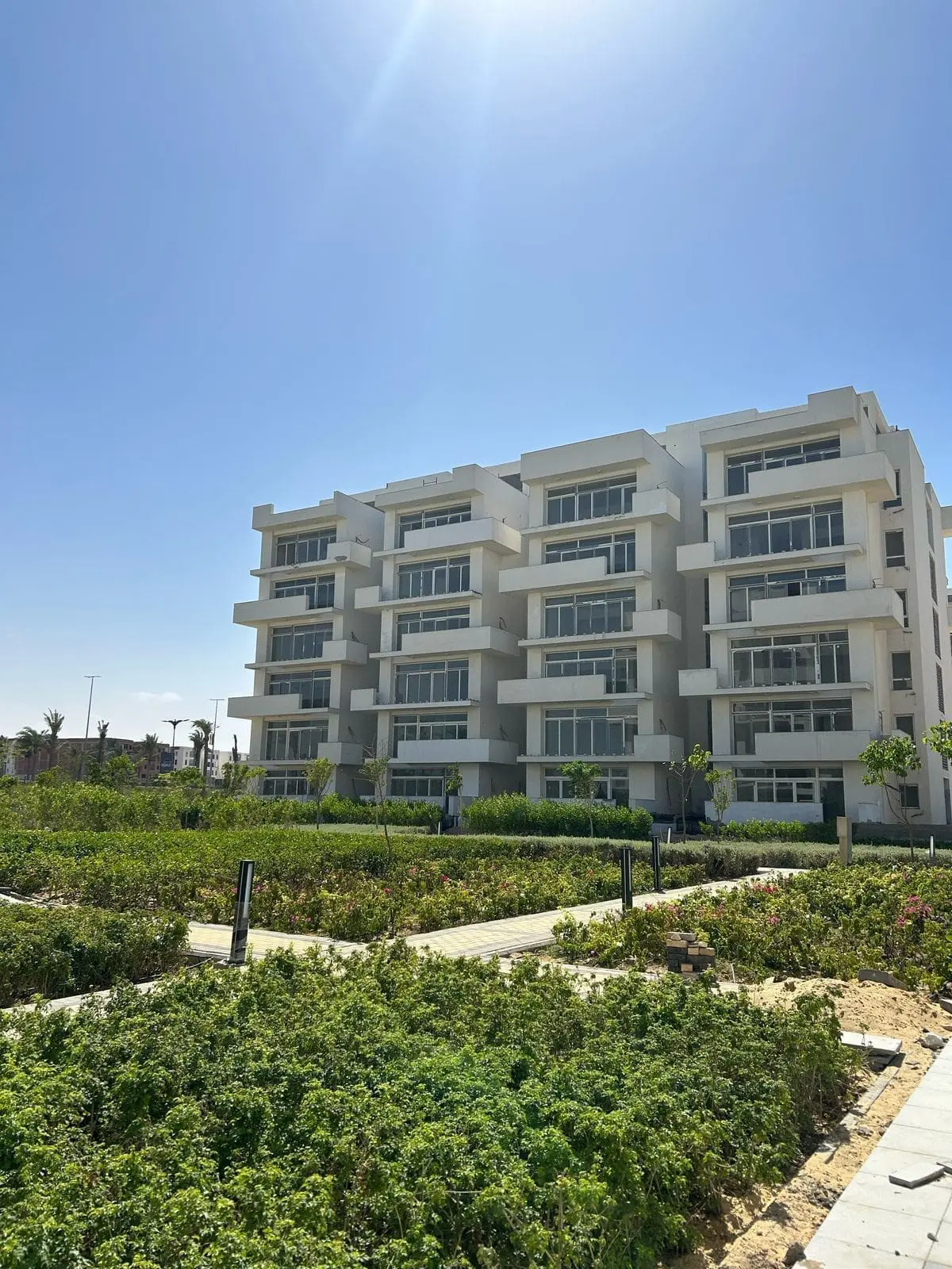 WhatsApp Image 2025-08-27 at 3.34.52 AM