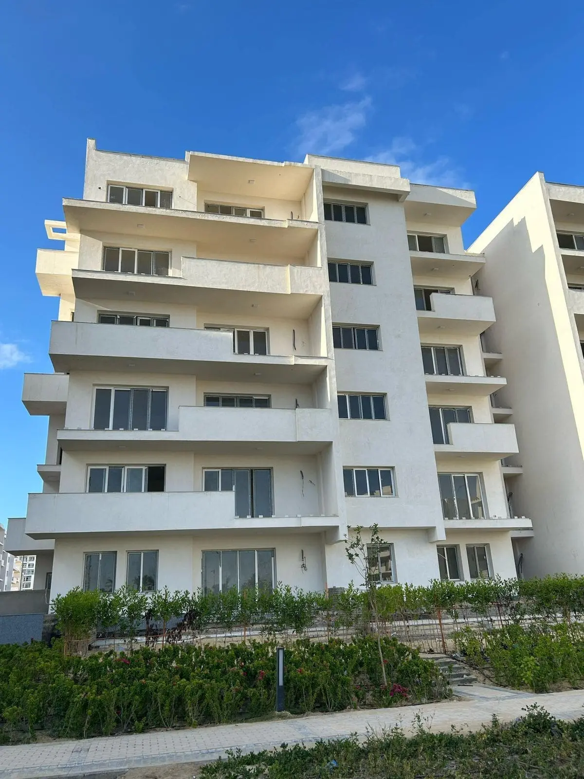 WhatsApp Image 2025-08-27 at 3.34.53 AM (2)