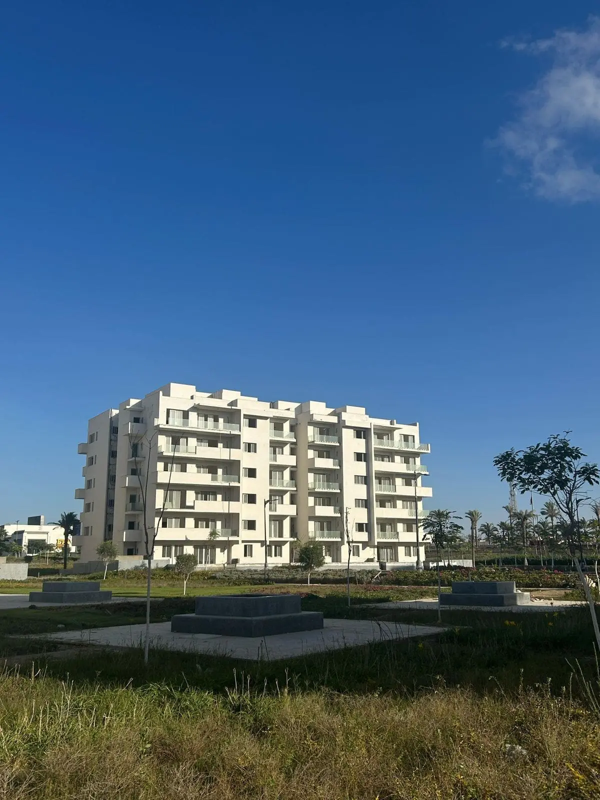 WhatsApp Image 2025-08-27 at 3.34.53 AM (4)