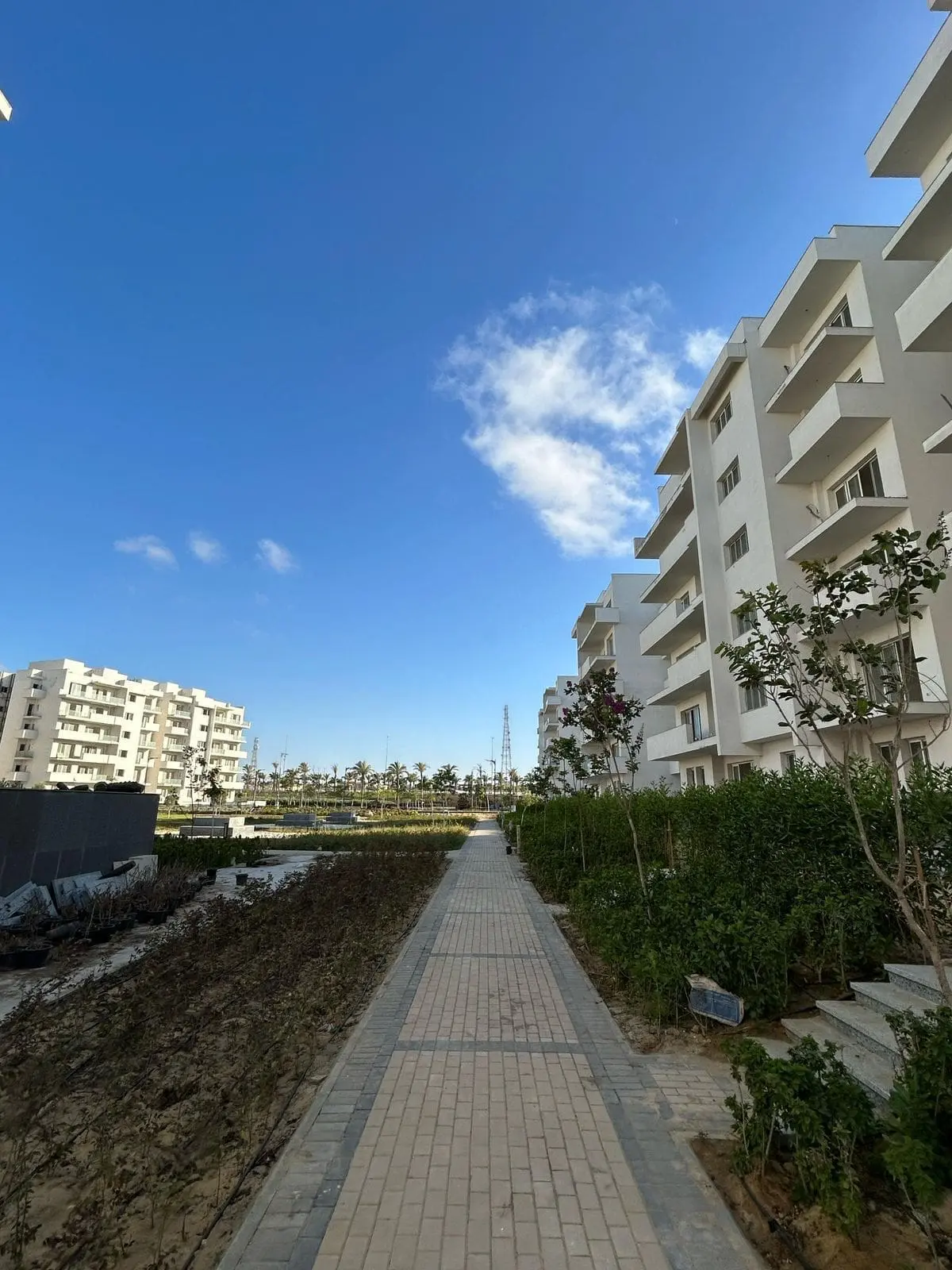 WhatsApp Image 2025-08-27 at 3.34.55 AM (1)