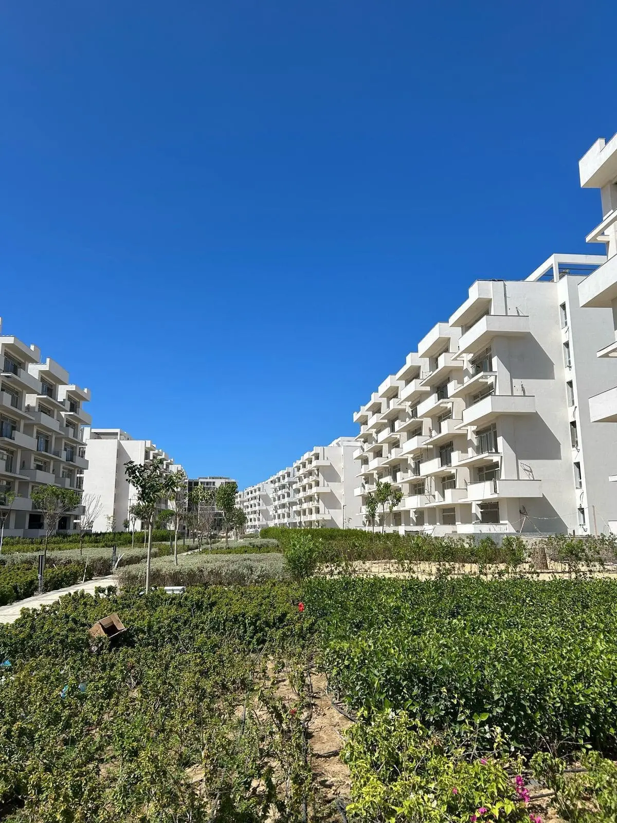 WhatsApp Image 2025-08-27 at 3.34.55 AM (2)