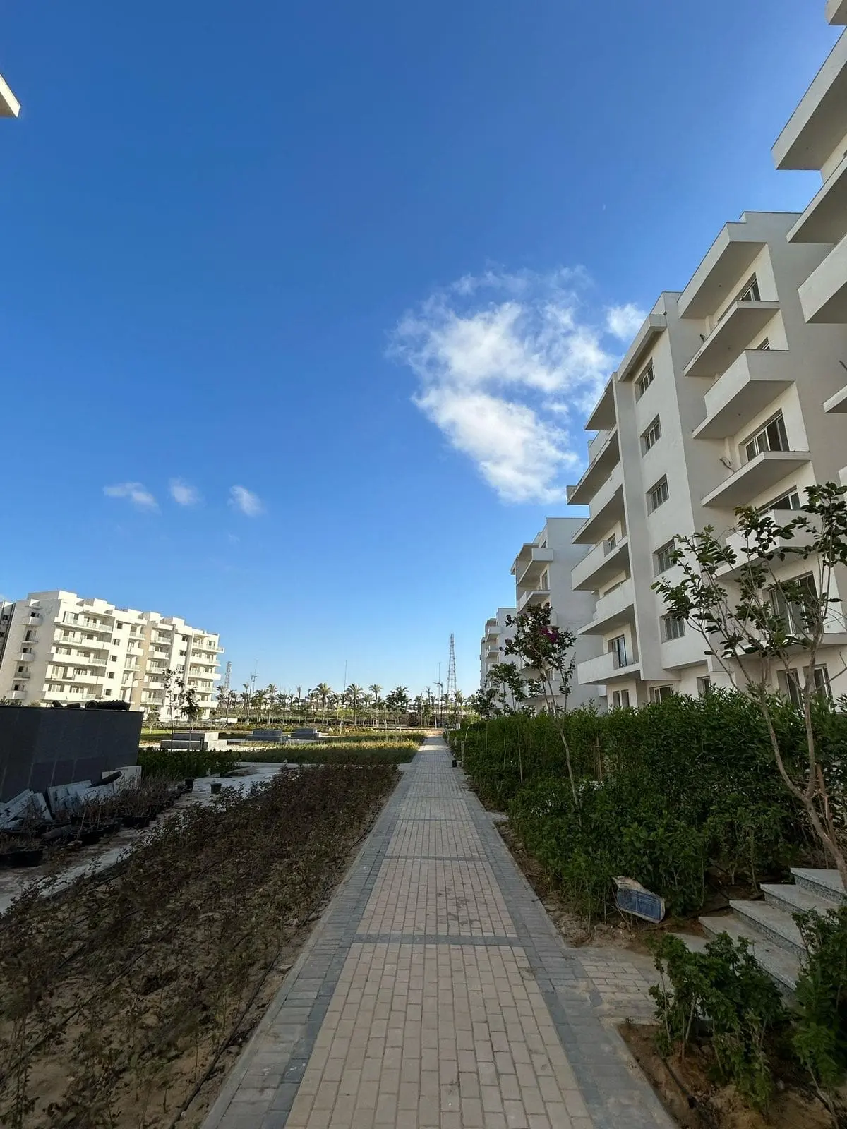 WhatsApp Image 2025-08-27 at 3.34.55 AM (3)