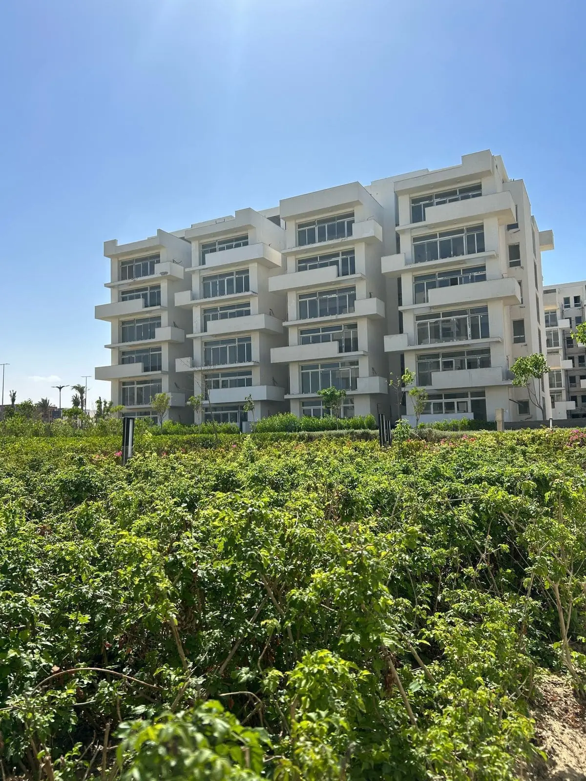 WhatsApp Image 2025-08-27 at 3.34.55 AM