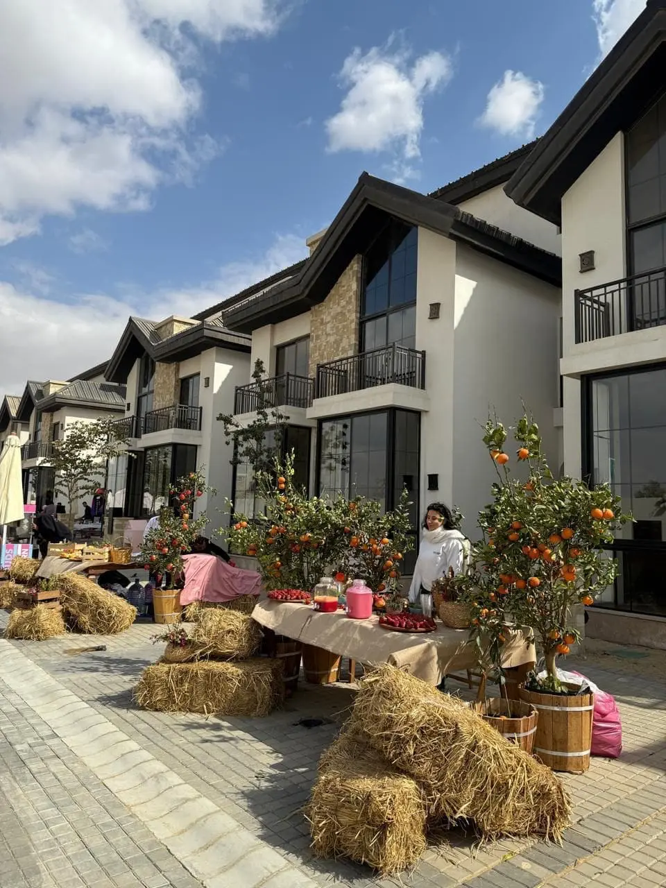 WhatsApp Image 2025-08-27 at 5.07.24 AM (1)