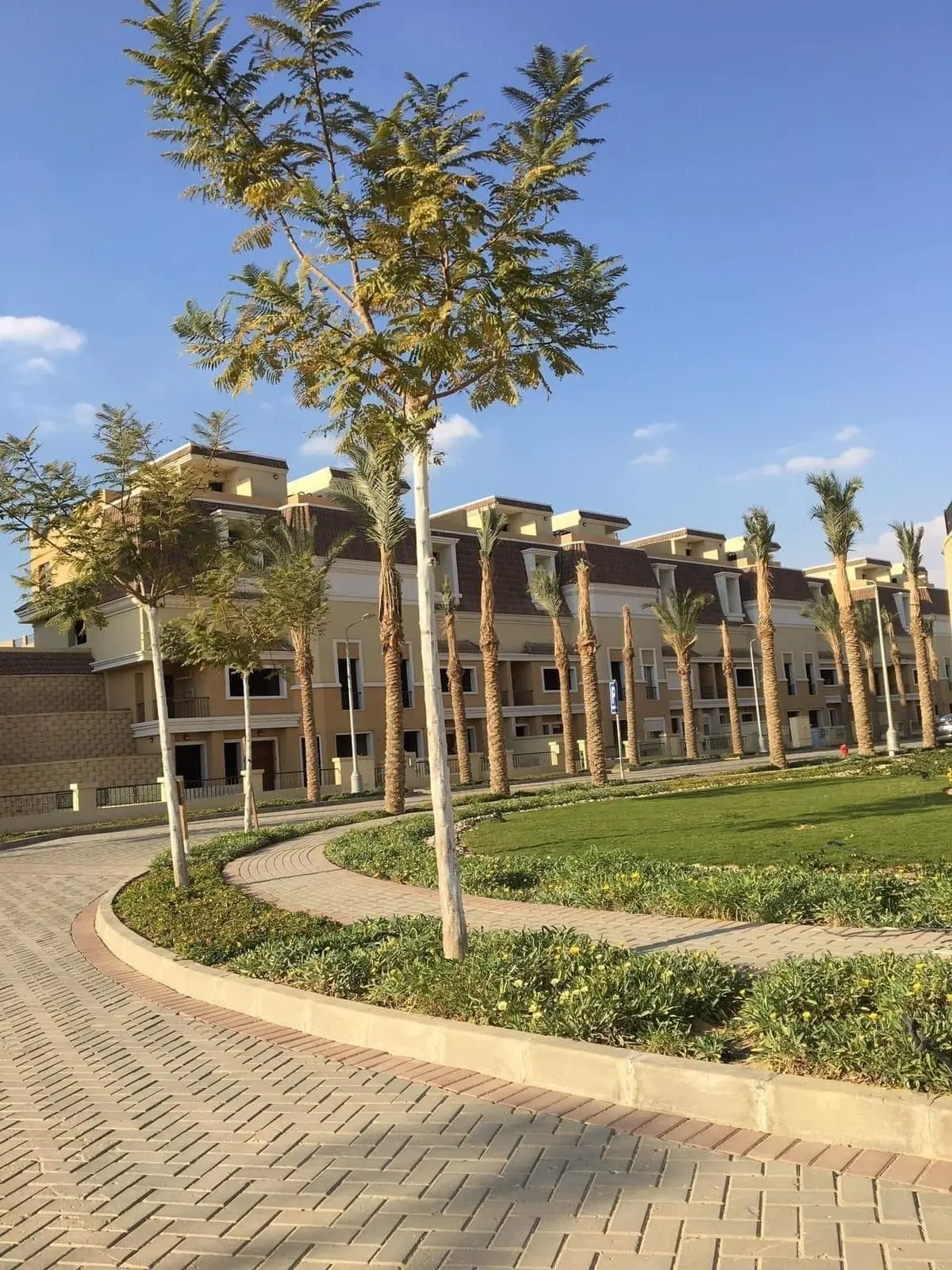 WhatsApp Image 2025-08-28 at 3.46.23 AM