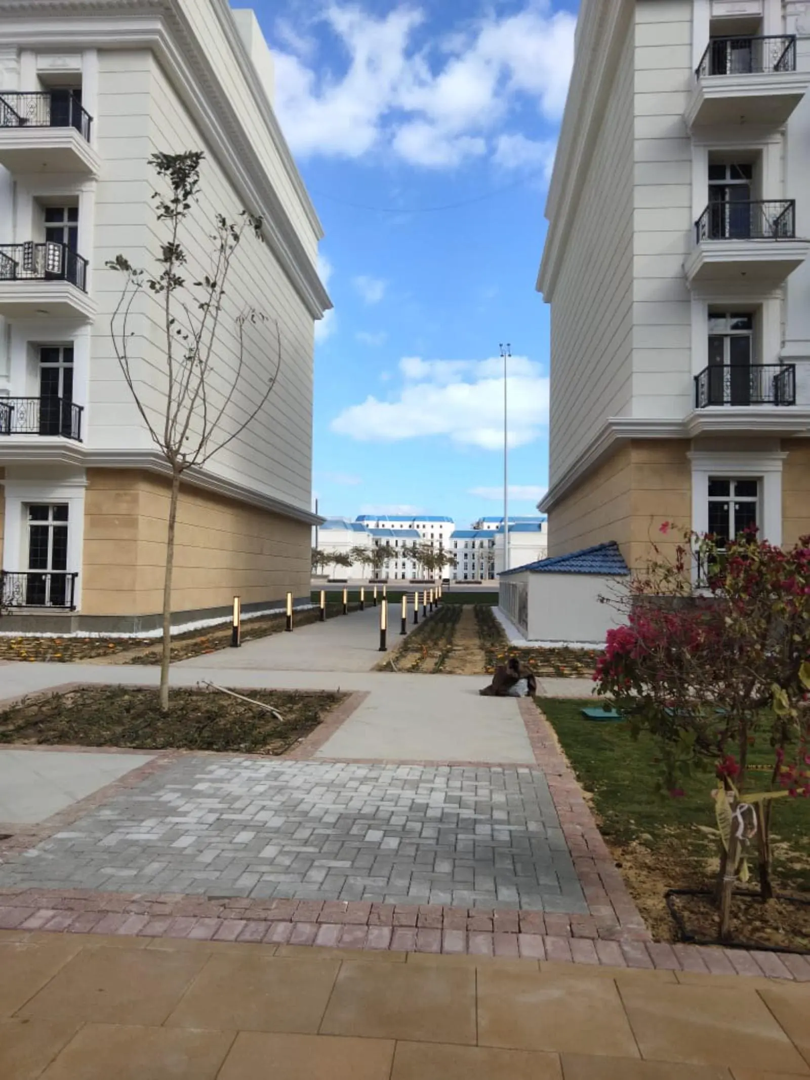 الحي اللاتيني العلمين الجديدة (29)