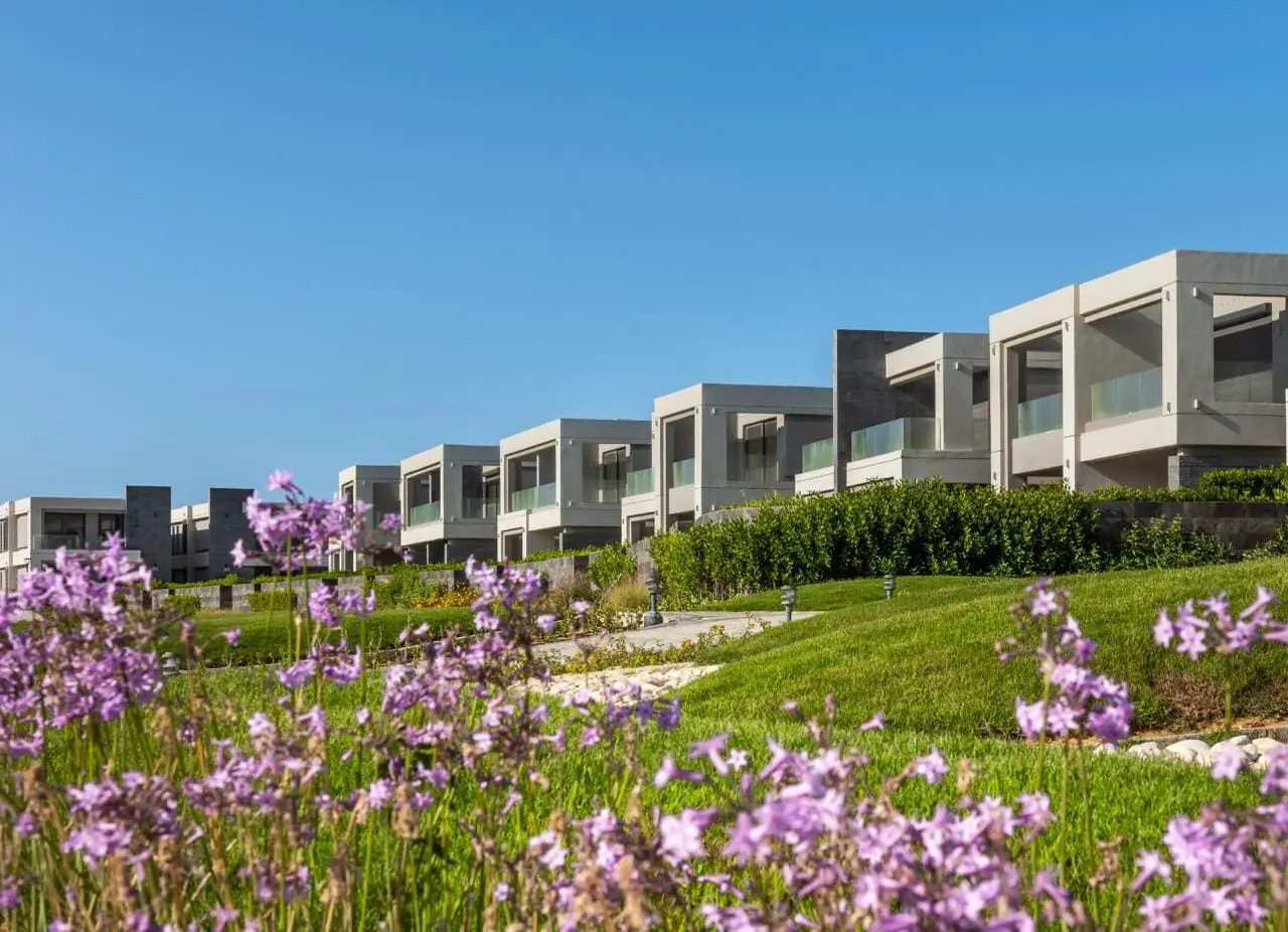 لافيستا الساحل الشمالي (4)