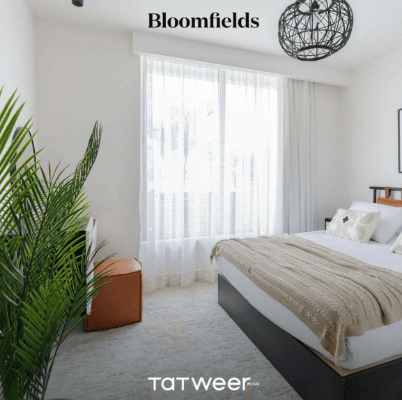 Screenshot 2025-02-26 090451