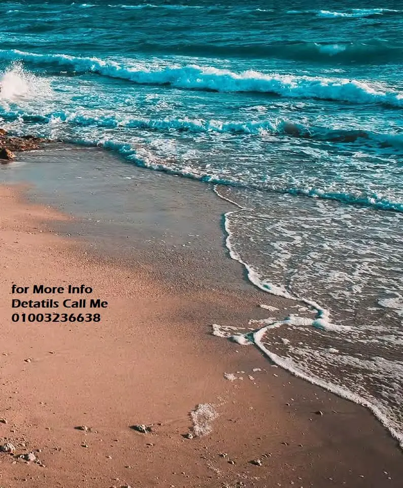 213670912_5760014580736834_2178277724365786181_n