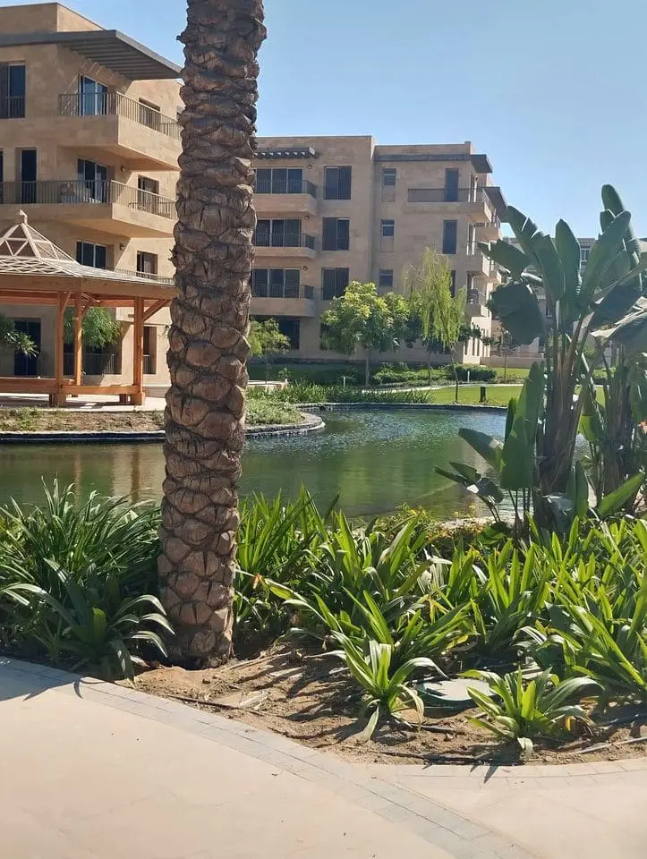 IMG-20250225-WA0193 – Copy