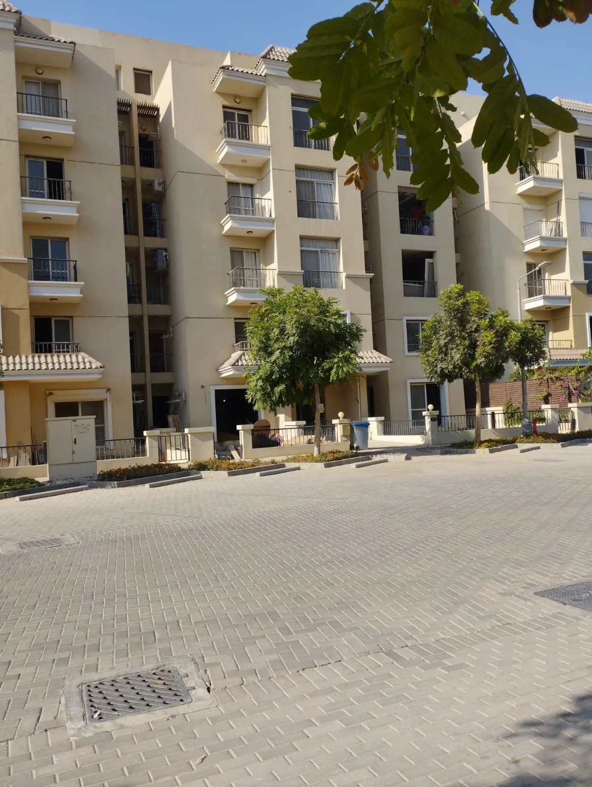 WhatsApp Image 2025-09-10 at 11.25.58 PM