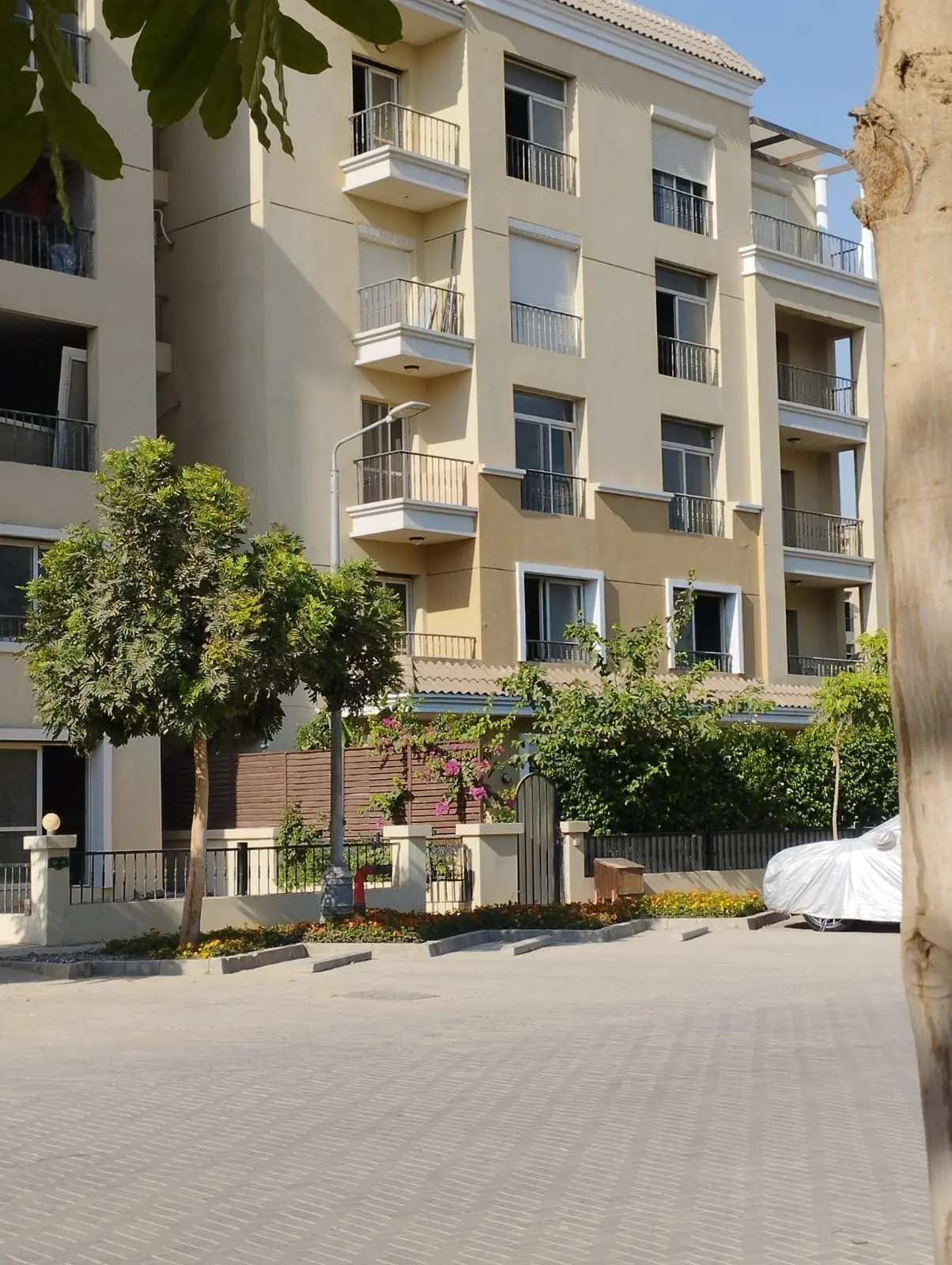 WhatsApp Image 2025-09-10 at 11.38.35 PM