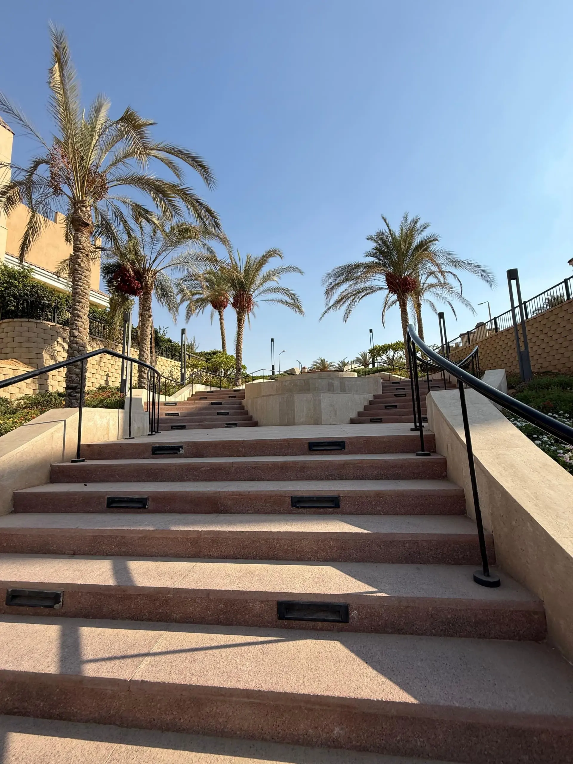 WhatsApp Image 2025-09-11 at 2.25.36 PM