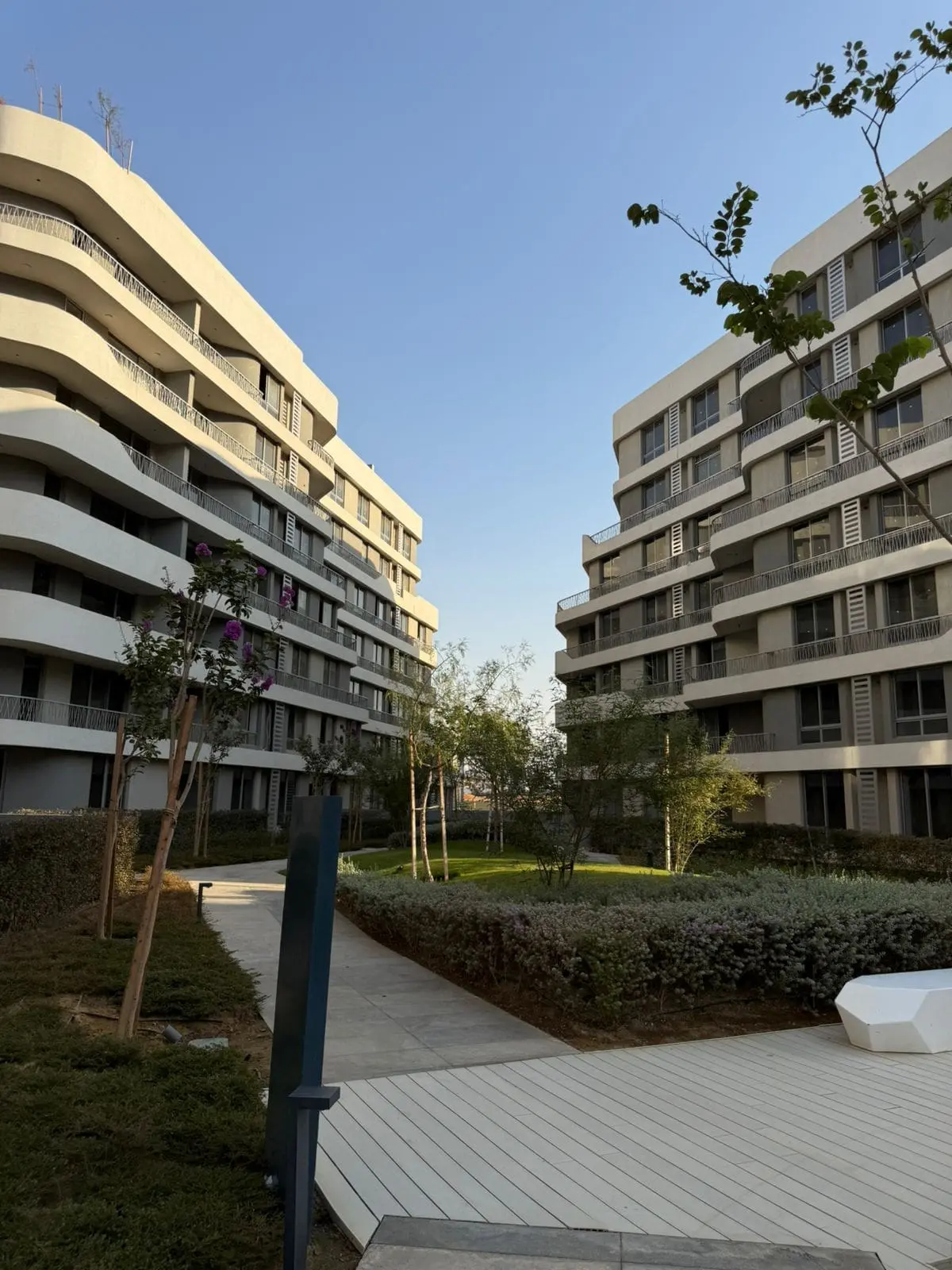 WhatsApp Image 2025-10-01 at 12.44.50 PM (1)