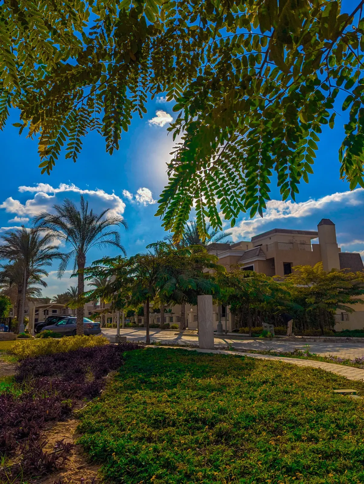 WhatsApp Image 2025-06-12 at 3.45.38 AM