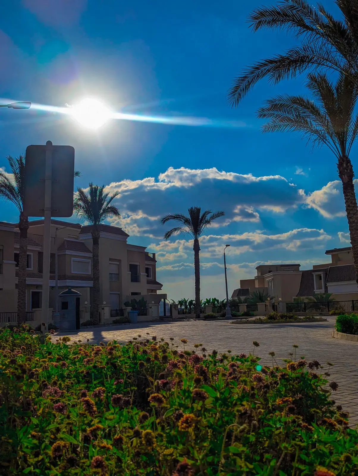 WhatsApp Image 2025-06-12 at 3.45.39 AM