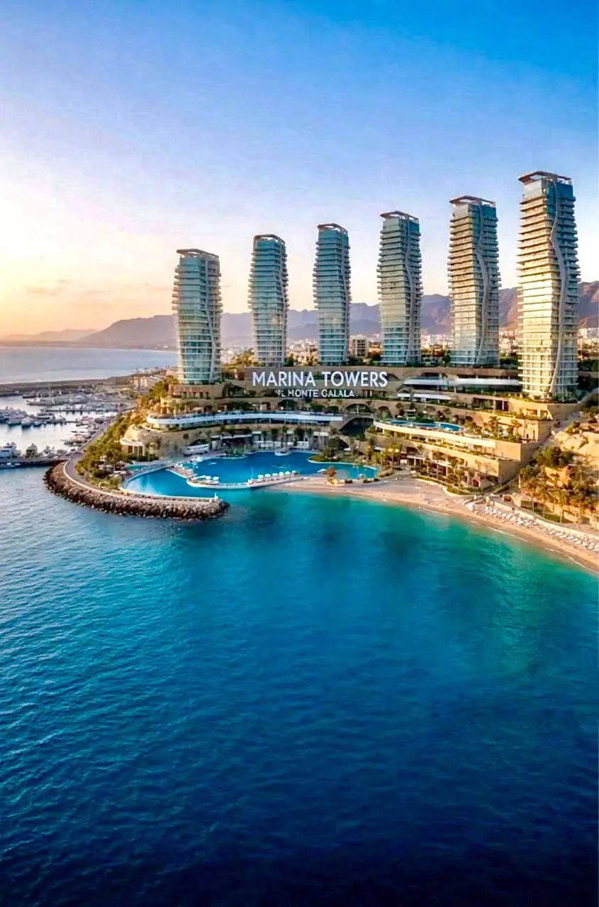 WhatsApp Image 2026-02-11 at 2.56.38 PM