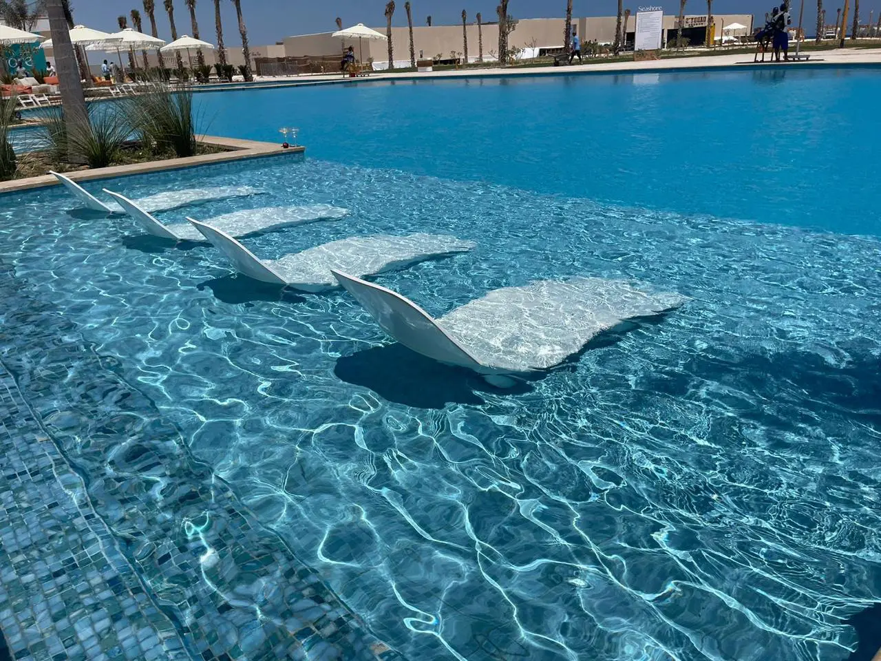 WhatsApp Image 2025-05-22 at 7.52.30 AM