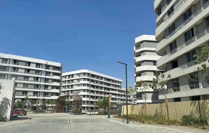 WhatsApp Image 2025-04-08 at 6.24.46 AM (1)